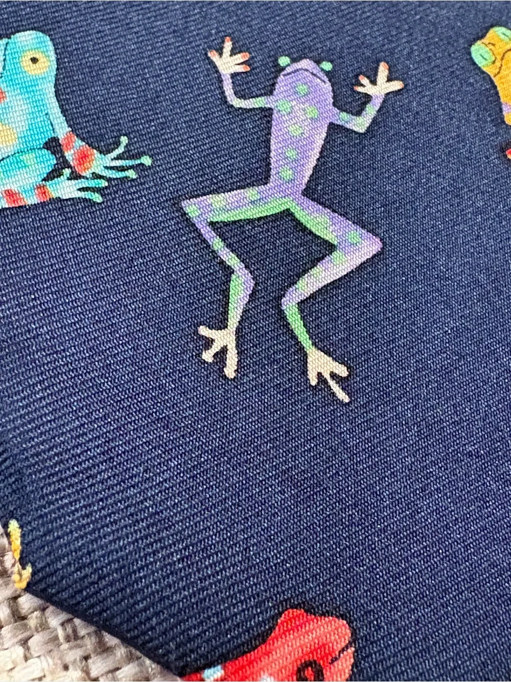 Alynn My Prince Frog Necktie Novelty Poison Dart Frog Silk Tie USA